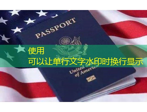 进入汉德欧移民官网